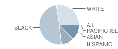 Druid Hills High School Student Race Distribution