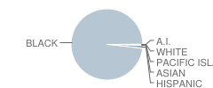 Columbia High School Student Race Distribution