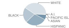 Sagamore Hills Elementary School Student Race Distribution