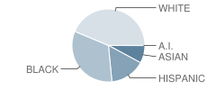 Lakeside High School Student Race Distribution