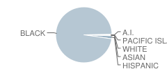 Stephenson High School Student Race Distribution