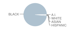 Miller Grove Middle School Student Race Distribution