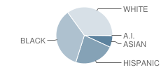 Henderson Middle School Student Race Distribution