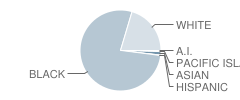 Westover High School Student Race Distribution