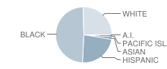 Turner Middle School Student Race Distribution