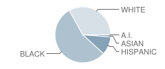 Mount Carmel Elementary School Student Race Distribution
