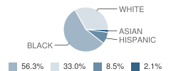 Chestnut Log Middle School Student Race Distribution