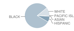 Burnett Elementary School Student Race Distribution