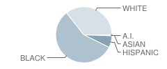 Holly Springs Elementary School Student Race Distribution