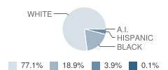 Southwest Laurens Elementary School Student Race Distribution