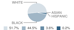 New East Laurens Elementary School Student Race Distribution