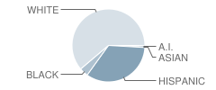 Echols County High / Elementary School Student Race Distribution