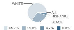 Springfield Elementary School Student Race Distribution