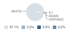 East Fannin Elementary School Student Race Distribution