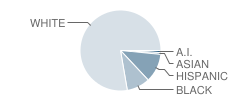 Coosa High School Student Race Distribution