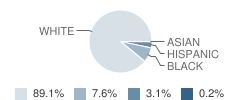 Model Middle School Student Race Distribution