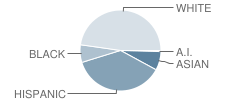 Midway Elementary School Student Race Distribution