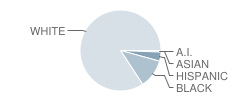 Franklin County High School Student Race Distribution