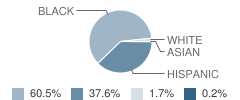 Conley Hills Elementary School Student Race Distribution