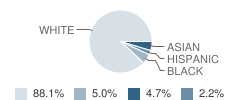 Mountain Park Elementary School Student Race Distribution