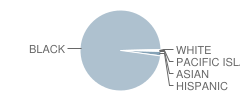 Stonewall Tell Elementary School Student Race Distribution