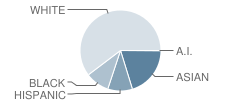 Ocee Elementary School Student Race Distribution