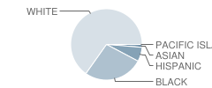 Glynn Middle School Student Race Distribution