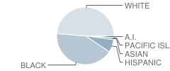 Brunswick High School Student Race Distribution