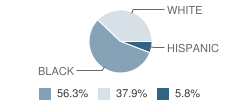 Union Point Elementary School Student Race Distribution