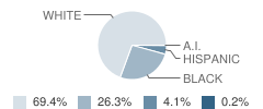 Jackson Road Elementary School Student Race Distribution