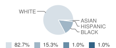 Crescent Road Elementary School Student Race Distribution