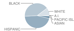 Peachtree Elementary School Student Race Distribution