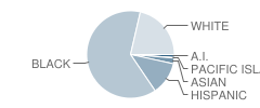 South Gwinnett High School Student Race Distribution