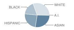 Arcado Elementary School Student Race Distribution