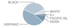 Berkmar High School Student Race Distribution