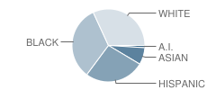 Mckendree Elementary School Student Race Distribution