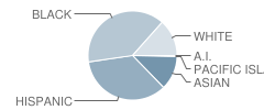 Cedar Hill Elementary School Student Race Distribution