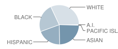 Chattahoochee Elementary School Student Race Distribution