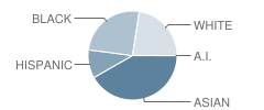 M. H. Mason Elementary School Student Race Distribution