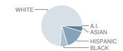 Chestnut Mountain Elementary School Student Race Distribution