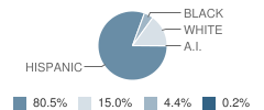 Sugar Hill Elementary School Student Race Distribution