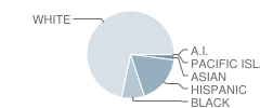 Flowery Branch High School Student Race Distribution