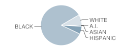 Fairview Elementary School Student Race Distribution