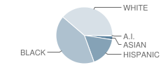 Stockbridge Middle School Student Race Distribution