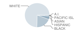 Ola Elementary School Student Race Distribution