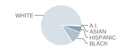 Unity Grove Elementary School Student Race Distribution