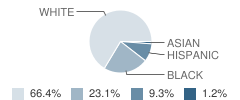 Centerville Elementary School Student Race Distribution