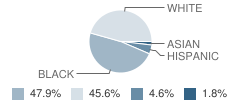Tucker Elementary School Student Race Distribution