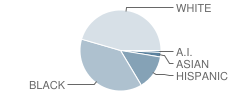 Russell Elementary School Student Race Distribution