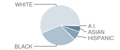 Feagin Mill Middle School Student Race Distribution